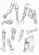 Image result for Black and White Arm Muscle