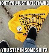 Image result for Anti Pittsburgh Steelers
