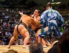 Image result for Sumo Wrestling Match Near Camp Zama