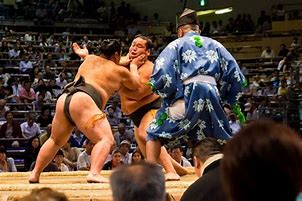 Image result for Sumo Pictures