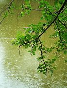 Image result for Animated Background Rain