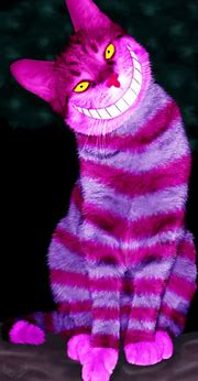 Image result for Cheshire Cat Photography