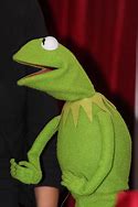 Image result for Kermit the Frog Profile Pic