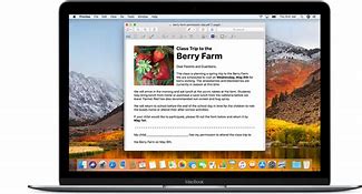 Image result for Apple PDF