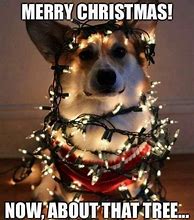 Image result for Happy Birthday Merry Christmas Meme
