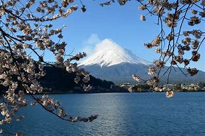 Image result for Fuji Frontier