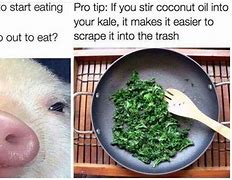 Image result for Memes About Food