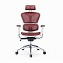 Image result for Mesh Chair Back Support