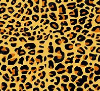 Image result for Cheetah Pattern Vector