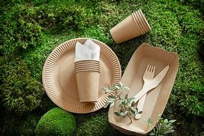 Image result for Sustainable Food Packaging