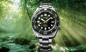 Image result for 40Mm Diver Watch