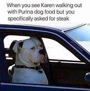 Image result for Karen Dog Memes