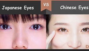 Image result for Difference Between Chinese and Japanese