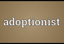 Image result for adopckonista