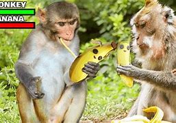 Image result for Fortnite Banana Meme