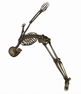 Image result for Full Size Printable Skeleton