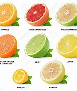 Image result for Fruit