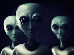 Image result for Philips Alien Species