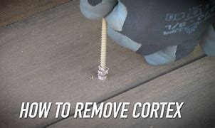 Image result for Cortex Plugs without Screws