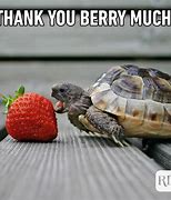 Image result for Funny Thank You Bing