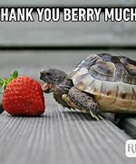 Image result for Thank You for Your Help Funny