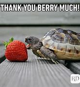 Image result for Thank You so Much for Your Help Meme