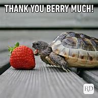 Image result for Thank You for Coming Meme