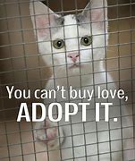 Image result for Animal Adoption Quotes