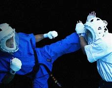 Image result for Kudo Martial Art Dangerous Image