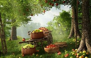 Image result for Apple Harvest Desktop Wallpaper
