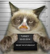 Image result for Turkish Cat Penalty Meme
