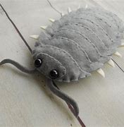 Image result for Silly Isopod