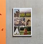 Image result for 4X6 Prints