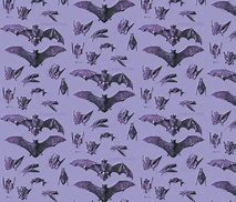 Image result for Purple Bat Wallpaper