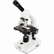 Image result for Monocular Compound Light Microscope