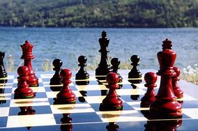 Image result for Chess Fancy