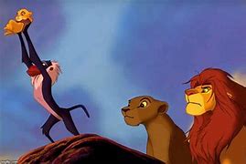 Image result for It's the Circle of Life Meme