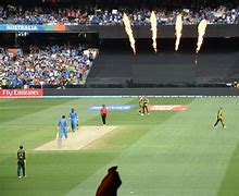 Image result for Cricket World Cup Pic