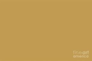 Image result for Gold Beige Paint Color