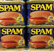 Image result for Spam Pictures