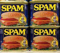Image result for Types of Spam