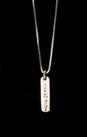 Image result for Silver Dog Tag with Chain