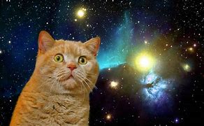 Image result for Funny Galaxy Wallpaper