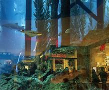 Image result for Futuristic Underwater Shopping Mall