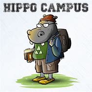 Image result for Hippo Campus Meme
