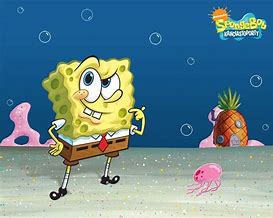 Image result for Spongebob SquarePants Sponge