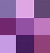 Image result for iPhone 16 New Colors