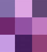 Image result for iPhone 11 Dark Lavender