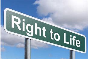 Image result for Right to Life