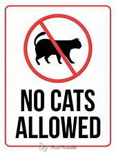 Image result for No Cats Allowed Meme